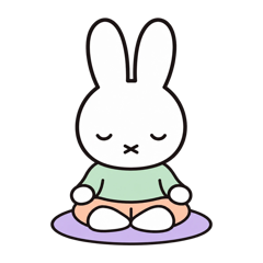 Miffy ngồi thiền trên ô 70 ngày